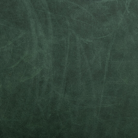 Обложка кожи 141