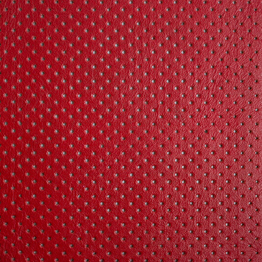 Обложка кожи 301