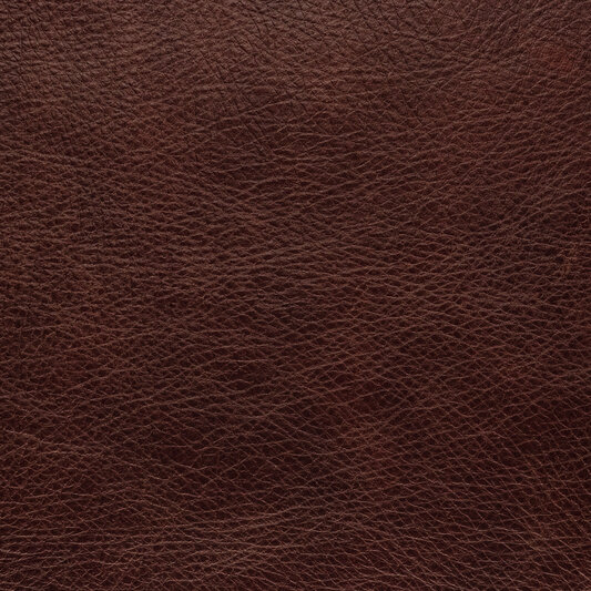 Обложка кожи 199