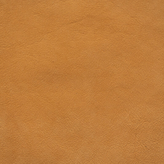 Обложка кожи 172