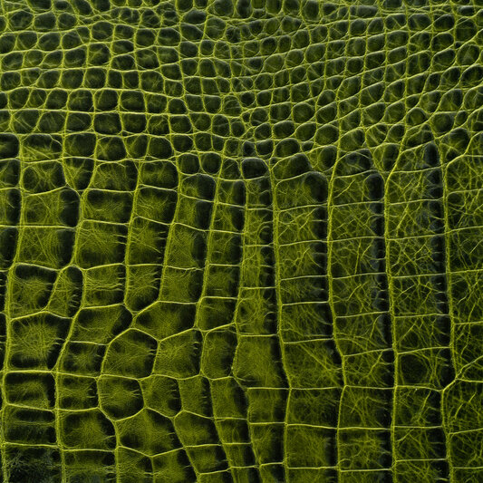 Обложка кожи 310