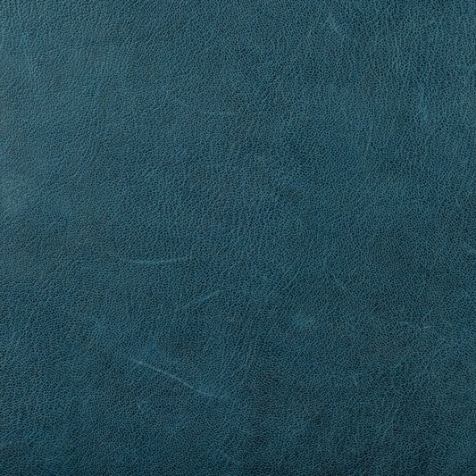 Обложка кожи 160