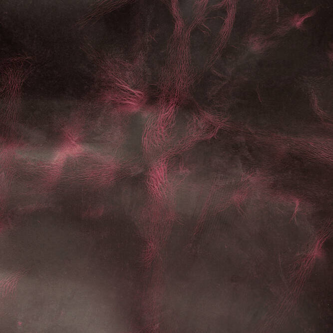 Обложка кожи 258