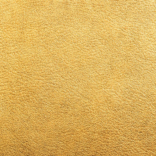 Обложка кожи 181